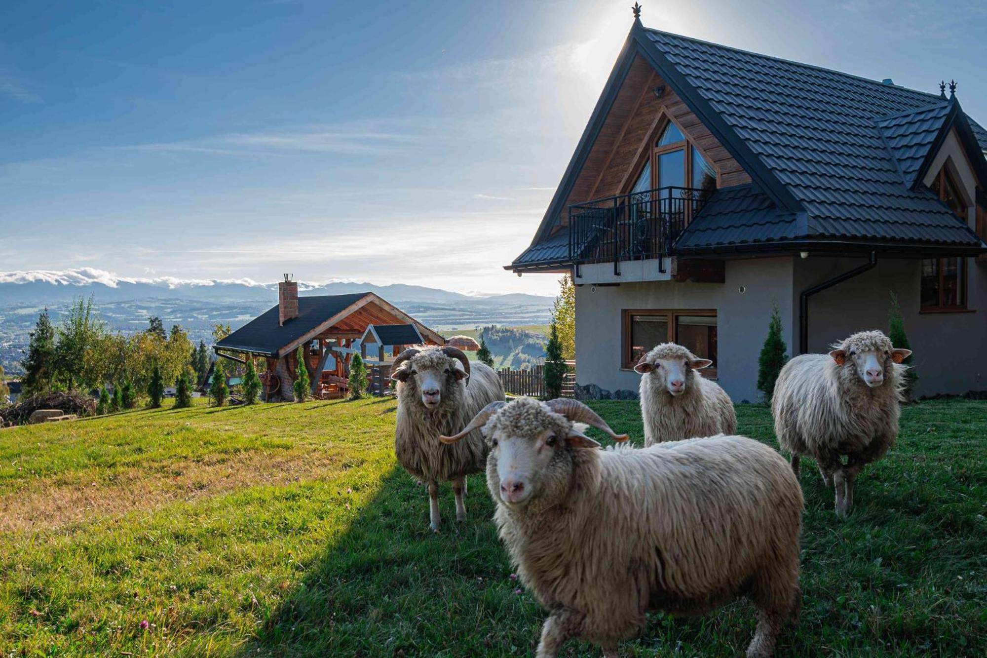 Lesne Zacisze Villa Nowy Targ Exterior foto